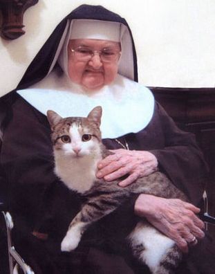 http://quotesgram.com/img/nun-kitty-cat-quotes/6232375/